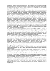 Išsamus pasiruošimas baudžiamosios teisės egzaminui 19 puslapis