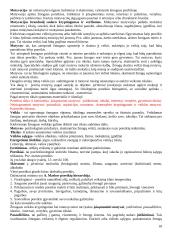 Pasiruošimas bendrosios ir diferencinės psichologijos atsiskaitymui 18 puslapis