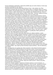 Budos gyvenimo istorija 8 puslapis