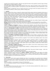 Civilinės teisės pagrindų teorija 2 puslapis