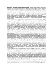 Civilinė teisė glaustai 2 puslapis