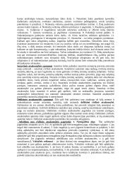 Civilinė teisė glaustai 12 puslapis