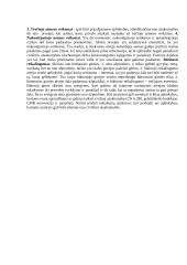 Civilinė teisė glaustai 13 puslapis