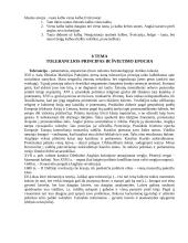 Civilizacijos istorija 12 puslapis