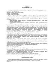 Civilizacijos istorija 3 puslapis