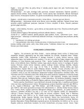 Civilizacijos istorija 4 puslapis