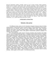 Civilizacijos istorija 8 puslapis