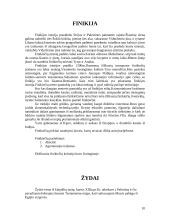 Civilizacijų istorija 10 puslapis