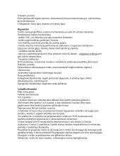 Cukrinio diabeto gydymas 4 puslapis