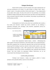 Darbas su Microsoft Excel 2 puslapis