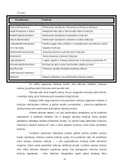 Darbas su Microsoft Excel 15 puslapis