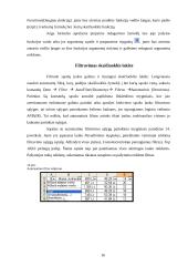 Darbas su Microsoft Excel 16 puslapis