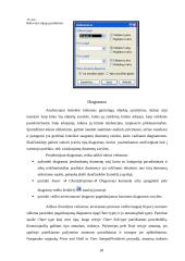 Darbas su Microsoft Excel 18 puslapis