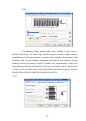 Darbas su Microsoft Excel 20 puslapis
