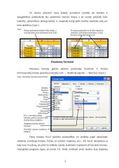 Darbas su Microsoft Excel 3 puslapis