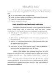 Darbas su Microsoft Excel 5 puslapis