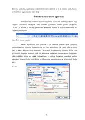 Darbas su Microsoft Excel 8 puslapis