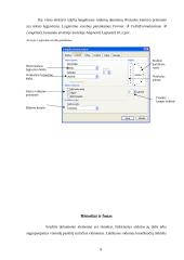 Darbas su Microsoft Excel 9 puslapis