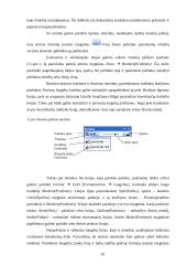 Darbas su Microsoft Excel 10 puslapis