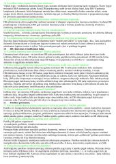 Duomenų bazių principai 2 puslapis