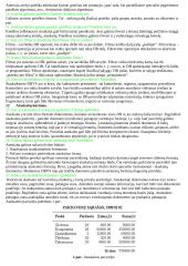 Duomenų bazių principai 3 puslapis