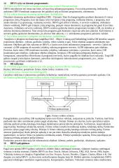 Duomenų bazių principai 6 puslapis