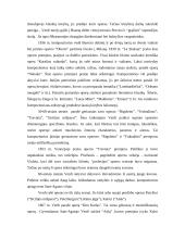 Džiuzepė Verdis kūryba 2 puslapis