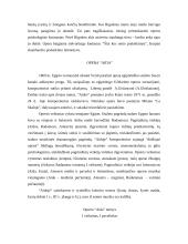 Džiuzepė Verdis kūryba 13 puslapis