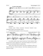 Džiuzepė Verdis kūryba 18 puslapis