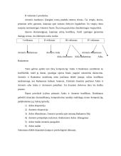 Džiuzepė Verdis kūryba 19 puslapis