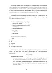 Viskas apie emocijas 6 puslapis
