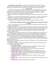 Kognityvinės psichologijos medžiaga 12 puslapis