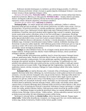Kognityvinės psichologijos medžiaga 13 puslapis