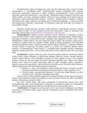 Kognityvinės psichologijos medžiaga 18 puslapis