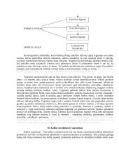 Kognityvinės psichologijos medžiaga 19 puslapis
