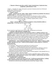 Kognityvinės psichologijos medžiaga 4 puslapis