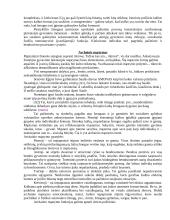 Kognityvinės psichologijos medžiaga 7 puslapis