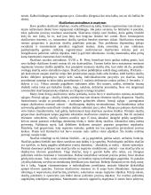 Kognityvinės psichologijos medžiaga 10 puslapis