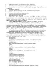 Savęs pažinimo būdų bei metodikų išbandymas su nuostata keistis, tobulėti 4 puslapis