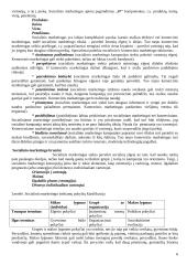 Socialinis marketingas socialinių paslaugų rinkoje 6 puslapis
