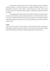 Termotransferinės spaudos gamybos analizė 3 puslapis