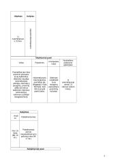 Baudžiamoji teisė - lengvi uždaviniai 5 puslapis