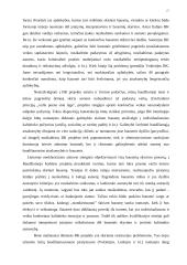 Bendrieji bausmių skyrimo pradmenys 17 puslapis