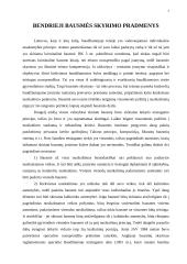 Bendrieji bausmių skyrimo pradmenys 4 puslapis