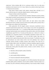 Bendrieji bausmių skyrimo pradmenys 9 puslapis