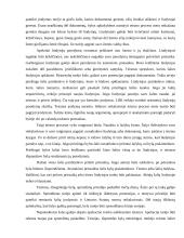 Civilinis ir baudžiamasis procesas pagal Lietuvos statutus 2 puslapis