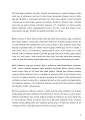 Darbas užsienyje 3 puslapis