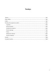 Firminių stilių lyginamoji analizė: "Eurokos" ir "Sarma" 2 puslapis