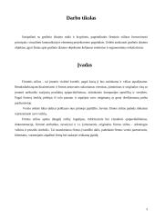 Firminių stilių lyginamoji analizė: "Eurokos" ir "Sarma" 3 puslapis