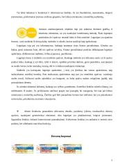 Firminių stilių lyginamoji analizė: "Eurokos" ir "Sarma" 5 puslapis